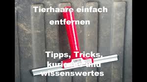 Dabei landen (neben dreck, sand und schlabber) auch. Tierhaare Ganz Einfach Entfernen Hundehaare Katzenhaare Von Sofa Polster Couch Reinigen Youtube