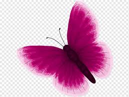 Maybe you would like to learn more about one of these? Butterfly Color Pink Butterfly Insects Color Moth Png Pngwing