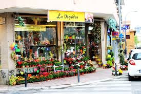 Floristería la Orquídea