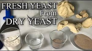 Look for fresh yeast in the dairy or refrigerated section of your supermarket. How To Make Fresh Yeast From Dry Yeast Youtube
