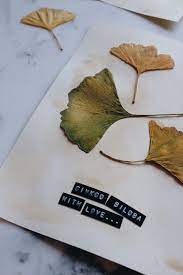 Diy Un Herbier A Afficher Planb Par Morganours Herbier Comment Faire Un Herbier Morganours