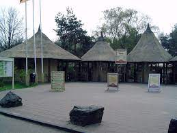 Vanuit je luxe lodge, safaritent of boomhut zie je zó de wilde dieren langslopen. Safaripark Beekse Bergen Wikipedia