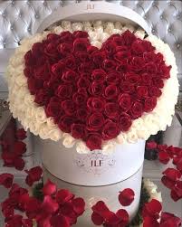 We did not find results for: Pin By Safiya Banu On Beautiful Flowers And Roses Valentines Flowers Beautiful Flower Arrangements Luxury Flowers
