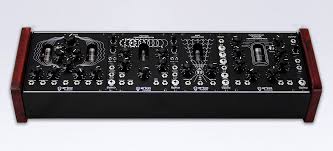 Image result for Erica microdonta