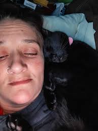 Introduction of emotional support cat Buddy