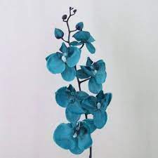 We did not find results for: Artificial Phalaenopsis Orchid Teal Blue O068 Blue Orchids Blue Flower Tattoos Orchids