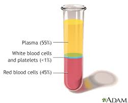 Image result for Blood Volume