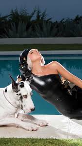 I wanna hold 'em like they do in texas, please fold 'em, let 'em, hit me, raise it, baby, stay with me (i love it) love game intuition play the cards with spades to. Why Did Gaga Retire The Great Danes From Her Music Videos Gaga Thoughts Gaga Daily