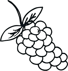 Check spelling or type a new query. Grapes Coloring Pages Best Coloring Pages For Kids