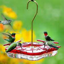 Maybe you would like to learn more about one of these? Duncraft Com Aspects Square Highview Hummingbird Feeder