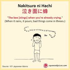 Nakitsura Ni Hachi Japanese Phrases Japanese Language Japanese Quotes