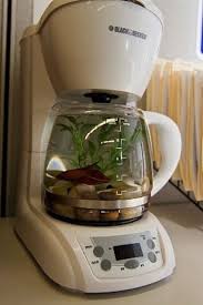 As long as you keep a single betta in his own tank, however, there shouldn't be any problems. Unique Pet Beds Fish Tank Unique Fish Tanks Betta Fish Tank