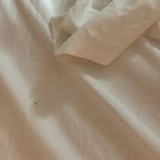 Image result for Motel 6 Decatur Decatur AL