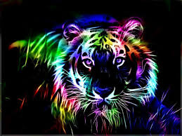 See more ideas about animals, cute animals, animals beautiful. Awesome Animal Wallpapers Top Free Awesome Animal Backgrounds Wallpaperaccess