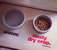 4.7 out of 5 stars. Water Nasty Dry Crap Dog Mat