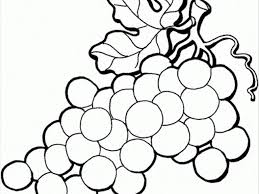 Fruits icons in color stroke. Grapes Clipart Coloring Good Fruits Clipart Black And White Png Download Full Size Clipart 1763513 Pinclipart