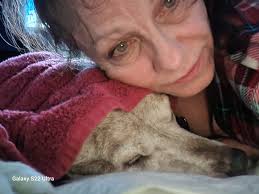 Ben Brown's Outstanding Pitching Performance for the Cubs