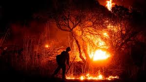 explosive fire growth ...