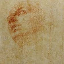 Studio Per La Madonna Del Tondo Doni Casa Buonarroti Firenze Michelangelobuonarrotietornato Michelangelo Renaissance Drawing Firenze Florence Casabu