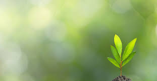 A New Leaf Publications - Marijuana Anonymous Recovery Books