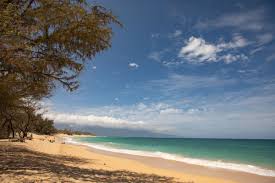 Aloha, below we've included the official list of hawaii's approved trusted testing partners. How To Prepare To Travel To Hawaii In 6 Steps Anchorage Daily News