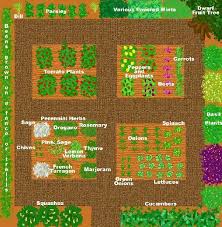 garden layout vegetable