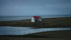 A rainy day in new york. How Prosperity Transformed The Falklands The New Yorker
