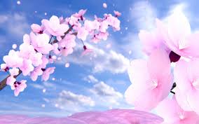 Sakura Flower Wallpapers Wallpapers All Superior Sakura Flower Wallpapers Backgrounds Wallpapersplanet Net Download and use 10,000+ cherry blossom stock photos for free.