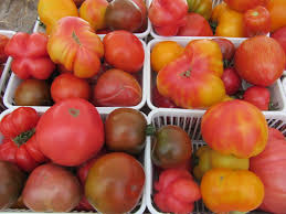 Tomatoes originate from the andes, growing wild in what is now peru, bolivia the english word tomato actually comes from the aztec tomatl. Grow A Rainbow Of Tomatoes London Middlesex Master Gardeners
