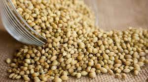 Biji ketumbar juga dikenal sebagai coriandrum sativum. Minum Air Rendaman Ketumbar Setiap Hari Lihat Perubahannya Pada Tubuh