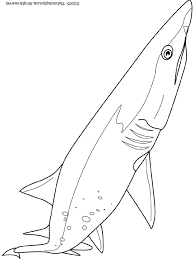 They are blue to white green with white to yellow underbelly. Sand Tiger Shark Coloring Page Audio Stories For Kids Free Coloring Pages Colouring Printables