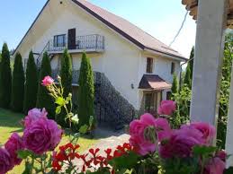 Libearty bear sanctuary in zarnesti, romania where approximately 80 brown bears are fed and can move freely around the 70 hectares of land and forest. 10 Best Zarnesti Hotels Hd Photos Reviews Of Hotels In Zarnesti Romania