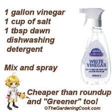Pin On Gardening