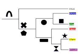 Dna = list(string) for index, char in enumerate(dna) i want the dictionary to have the key being the original base, and the value being the mutated base. Qubes Collections Posts