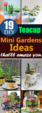 I watered once a week and it sits near a window with no direct sun. 19 Cute Diy Teacup Garden Ideas Creative Teacup Planters Balcony Garden Web