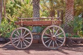 Soñar con caballos llama la atención por su gran predicción. Coches De Caballos Un Breve Repaso Por Su Historia Tipologia Y Usos Noti Caballos