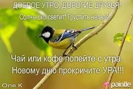 Россия и Сирия пытаются "зачистить" места химатаки в Думе, - Госдеп США - Цензор.НЕТ 5241
