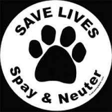 See more ideas about neuter, spay, pets. Animal Spay Neuter Stickers Decals Bumper Stickers