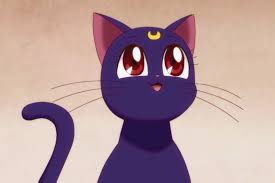 Nala is suitable for sweet, loyal, charming, sassy, nurturing and playful kittens. Famous Cat Names To Give Your Kitten Inspired By Cartoons
