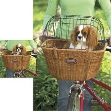 Going To Get This For Norman This Summer Hunde