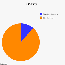 Obesity Imgflip