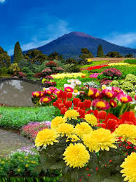 Bukan hanya itu, keberadaan pepohonan melengkapi suasana nampak indah. Pemandangan Alam Indah Photos Facebook