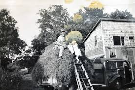 However, we are very lucky in that the. Olson Chicken Coop And Egg Delivery Wagon Burlington Retro