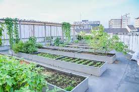 Traditional terraced gardens tend to reflect the planting style of the overall garden or style of the house. Preparing The Floor For Terrace Gardening And Green Roofs Rooftop Garden
