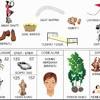 Layangan yaitu sebuah permainan tradisioanal yang dimainkan atau diterbangkan dengan menggunakan benang. 1