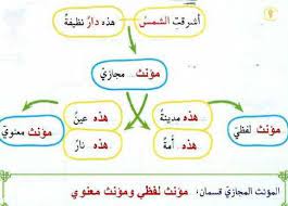 شرح درس جمع المؤنث السالم Ø§Ù„Ø´Ù…Ø³ Ù…Ø¤Ù†Ø« Ù…Ø¬Ø§Ø²ÙŠ Ù…ÙˆÙ‚Ø¹ Ø§Ù„Ù…Ø­ÙŠØ·