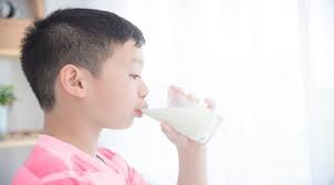 Namun, minum susu saat sahur dapat menjadi pelengkap asupan protein. Kapan Waktu Yang Tepat Anak Minum Susu