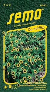 Image result for foto Vitálka