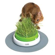 Cat puzzle toys are a great way to encourage your pet's natural instincts, engage their brains. Catit Senses 2 0 Grass Planter Cat Toy Petco Cat Grass Planter Cat Grass Indoor Cat Garden