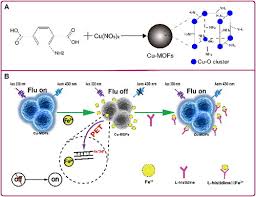 A Turn-on Fluorescent Sensor Based